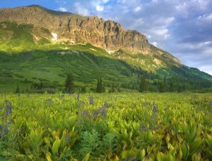 Tim Fitzharris - Gothic Mountain overlooking meadow near Crested Butte, Colorado