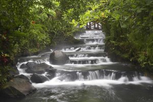 Tim Fitzharris - Tabacon River, cascades and pools in the rainforest, Costa Rica