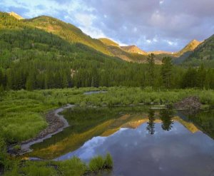 Tim Fitzharris - Pond and boreal forest, Ruby Range near Crested Butte, Colorado