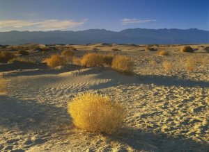 Tim Fitzharris - Mesquite Flat Sand Dunes, Death Valley National Park, California