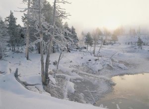 Tim Fitzharris - Upper Geyser Basin in winter, Yellowstone National Park, Wyoming