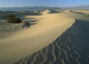 Tim Fitzharris - Mesquite Flat Sand Dunes, Death Valley National Park, California