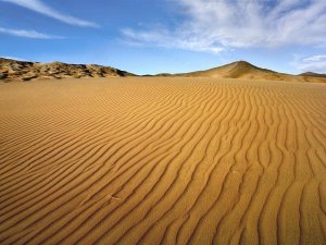 Tim Fitzharris - Wind ripples in Kelso Dunes, Mojave National Preserve, California