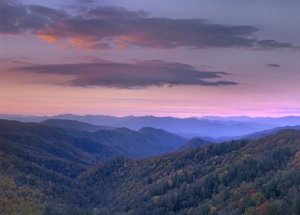 Tim Fitzharris - Newfound Gap, Great Smoky Mountains National Park, North Carolina