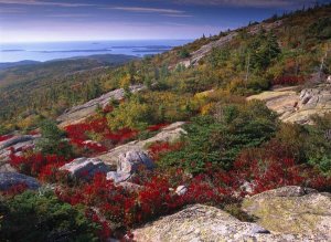 Tim Fitzharris - Atlantic coast from Cadillac Mountain, Acadia National Park, Maine