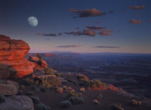 Tim Fitzharris - Moon over Canyonlands National Park from Green River Overlook, Utah