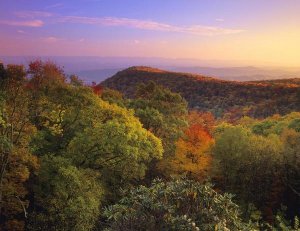 Tim Fitzharris - Blue Ridge Mountains with deciduous forests in autumn, North Carolina