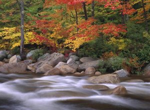 Tim Fitzharris - Autumn along Swift River, White Mountains National Forest, New Hampshire