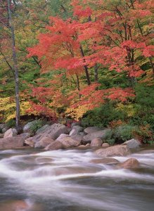 Tim Fitzharris - Autumn along Swift River, White Mountains National Forest, New Hampshire