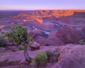 Tim Fitzharris - Colorado River flowing through canyons of Dead Horse Point State Park, Utah
