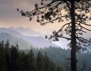 Tim Fitzharris - View over foothills to the west from Kings Canyon National Park, California