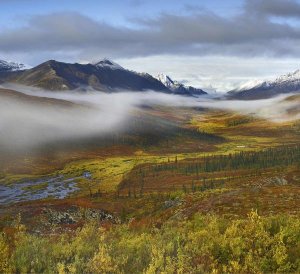 Tim Fitzharris - Fog over tundra, Tombstone Range, Tombstone Territorial Park, Yukon, Canada