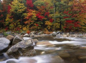 Tim Fitzharris - Wild river in eastern hardwood forest, White Mountains National Forest, Maine