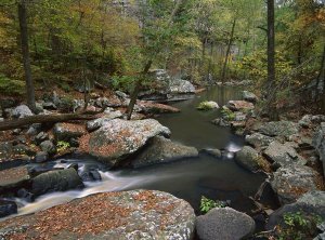 Tim Fitzharris - Cedar Creek flowing through deciduous forest, Petit Jean State Park, Arkansas