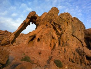 Tim Fitzharris - Elephant Rock, a unique sandstone formation, Valley of Fire State Park, Nevada