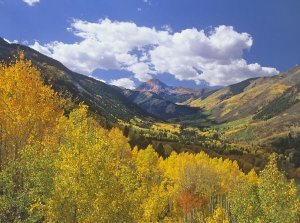 Tim Fitzharris - Haystack Mountain with aspen forest, Maroon Bells-Snowmass Wilderness, Colorado