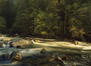 Tim Fitzharris - Merced River flowing through the valley floor, Yosemite National Park, California