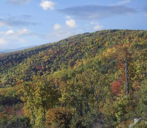 Tim Fitzharris - Blue Ridge Range from Moormans River Overlook, Shenandoah National Park, Virginia