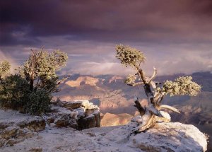 Tim Fitzharris - South Rim of Grand Canyon with a dusting of snow, Grand Canyon National Park, Arizona