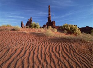 Tim Fitzharris - Totem pole and Yei Bi Chei with sand dunes, Monument Valley Navajo Tribal Park, Arizona