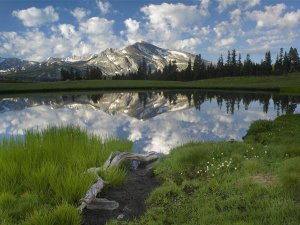 Tim Fitzharris - Mammoth Peak and scattered clouds reflected in lake, Yosemite National Park, California