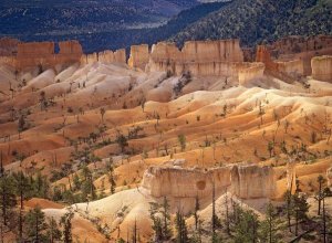 Tim Fitzharris - Landscape of eroded formations called hoodoos and fins, Bryce Canyon National Park, Utah