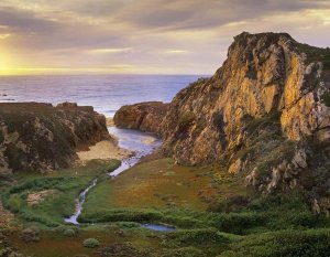 Tim Fitzharris - Garrapata Creek flowing into the Pacific Ocean, Garrapata State Beach, Big Sur, California