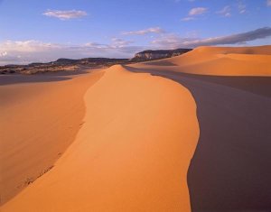 Tim Fitzharris - Wind ripples in sand dunes beneath sandstone cliffs, Coral Pink Sand Dunes State Park, Utah