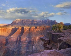 Tim Fitzharris - Sandstone cliffs and canyon seen from Toroweap Overlook, Grand Canyon National Park, Arizona