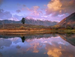 Tim Fitzharris - La Plata and Twin Peaks in the Sawatch Range reflected in Twin Lakes with a lone tree, Colorado