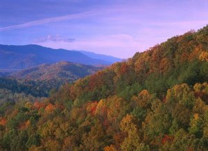 Tim Fitzharris - Appalachian Mountains ablaze with fall color, Great Smoky Mountains National Park, North Carolina