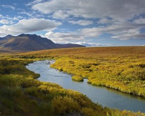 Tim Fitzharris - North Klondike River flowing through tundra beneath the Ogilvie Mountains, Yukon Territory, Canada