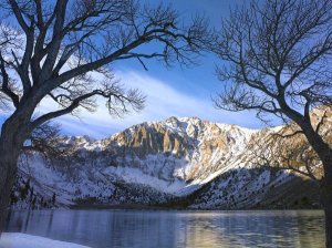Tim Fitzharris - Laurel Mountain and Convict Lake framed by barren trees in winter, eastern Sierra Nevada, California