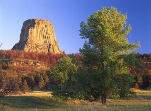 Tim Fitzharris - Devil's Tower National Monument showing famous basalt tower, sacred site for Native Americans, Wyoming