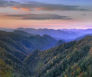 Tim Fitzharris - Deciduous forest covering mountains, Newfound Gap, Great Smoky Mountains National Park, North Carolina