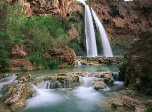 Tim Fitzharris - Havasu Creek, lined with Cottonwood trees, Havasu Falls, Grand Canyon, Arizona