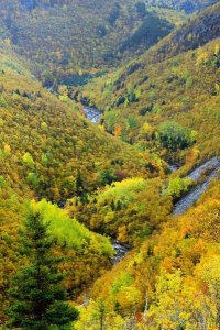 Scott Leslie - MacKenzie River valley, Cape Breton Highlands National Park, Nova Scotia, Canada