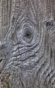 Colin Monteath - Wind eroded wood, Deception Island, South Shetland Islands, Antarctica