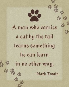 BG.Studio - Mark Twain: Cat by the Tail