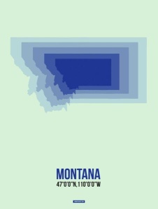 NAXART Studio - Montana Radiant Map 2