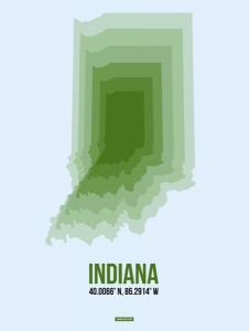 NAXART Studio - Indiana Radiant Map 2