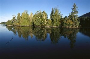 Flip Nicklin - Clayoquot Sound, Vancouver Island, British Columbia, Canada