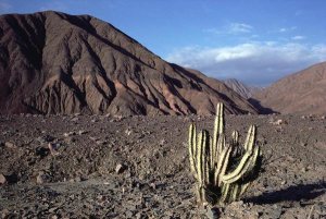 Tui De Roy - Atacama Desert located at foothills of the Andes, driest region in the world, Peru