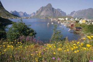 Tui De Roy - Traditional fishing village, summer, Lofoten Island, Norway