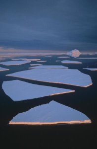 Tui De Roy - Broken fast ice under midnight sun, Edward VIII Bay, east Antarctica