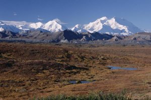 Michael Quinton - Tundra and Mt Denali, in autumn Denali National Park, Alaska