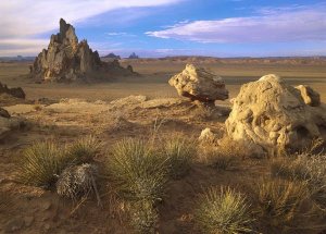 Tim Fitzharris - Church Rock, eroded volcanic plug, Monument Valley, Arizona