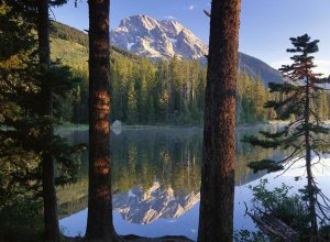 Tim Fitzharris - Mt Moran reflected in String Lake, Grand Teton NP, Wyoming