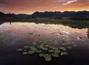 Tim Fitzharris - Sunrise over Granadier Range, Molas Pass, Weminuche Wilderness, Colorado