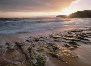 Tim Fitzharris - Waioli beach, Hanalei Bay, Kauai, Hawaii